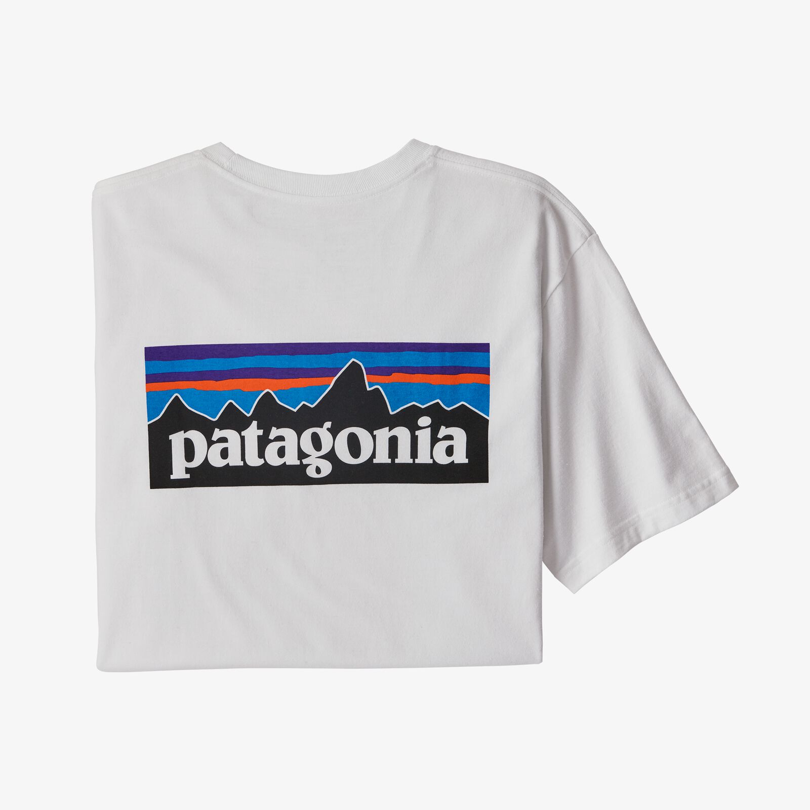 Patagonia パタゴニア メンズ・P-6ロゴ・ポケットレスポンシビリティー 