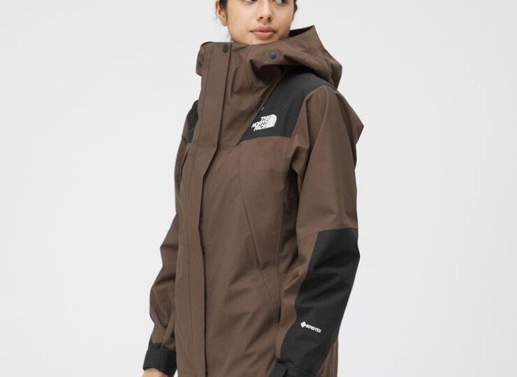 THE NORTH FACE ノースフェイス マウンテンジャケット（レディース