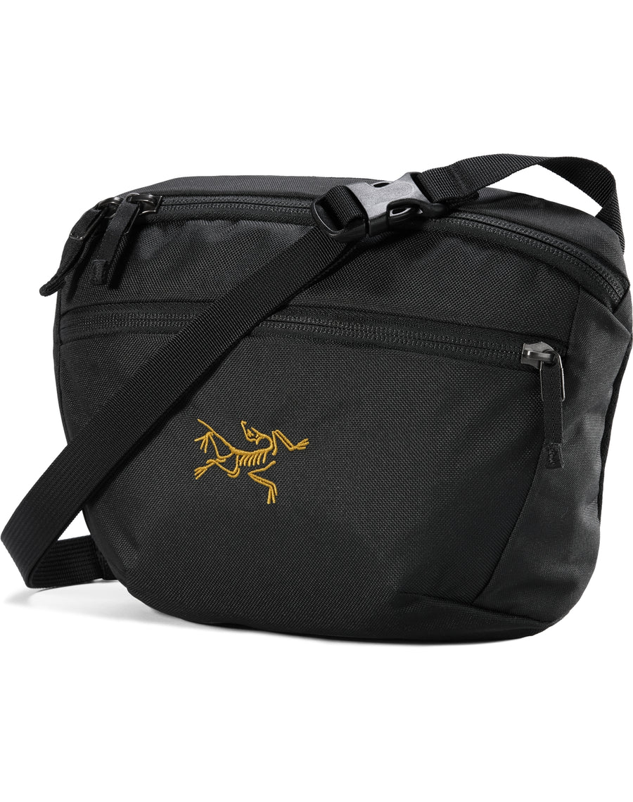 国内正規取扱品】Arc'teryx アークテリクス マンティス 2