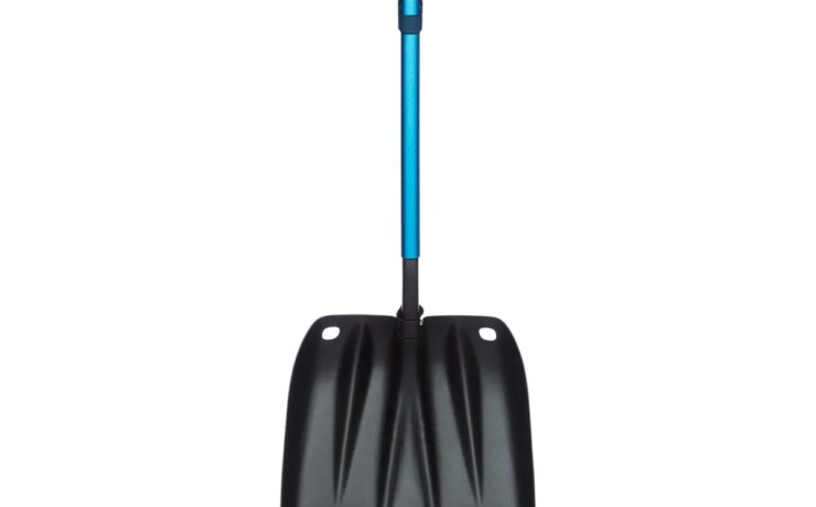 BD42507