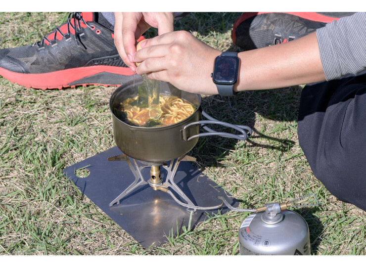 ECAL741